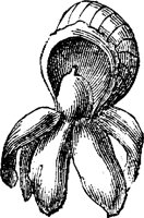 FLC001K.TIF