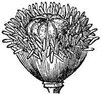 FLC001G.TIF