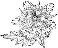 FLC001D.TIF