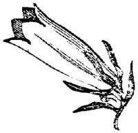 FLC060N.TIF