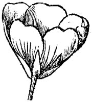 FLC060L.TIF