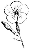FLC060J.TIF