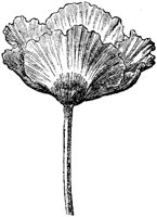 FLC060F.TIF