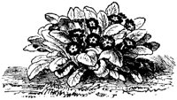 FLC060E.TIF