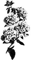 FLC059M.TIF