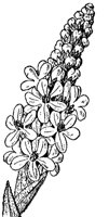 FLC058G.TIF