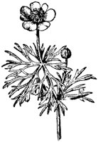 FLC056L.TIF