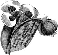 FLC055G.TIF