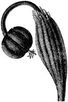 FLC055F.TIF