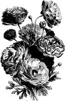 FLC054C.TIF