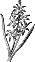FLC053H.TIF