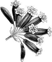 FLC052H.TIF
