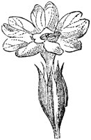 FLC052C.TIF