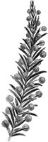 FLC050F.TIF