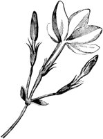 FLC049G.TIF