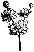 FLC048F.TIF