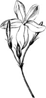 FLC048E.TIF