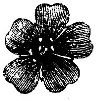 FLC047D.TIF