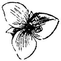 FLC047C.TIF