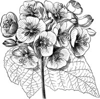 FLC047A.TIF