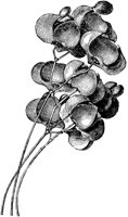 FLC044G.TIF