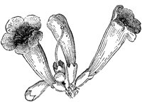 FLC044C.TIF