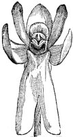 FLC043G.TIF