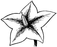 FLC043E.TIF