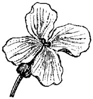 FLC042E.TIF