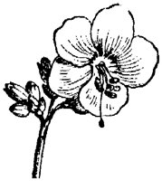 FLC042D.TIF