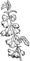FLC041I.TIF