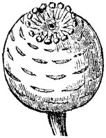 FLC041F.TIF
