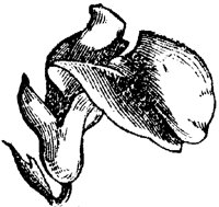 FLC040J.TIF