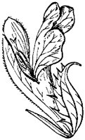 FLC040G.TIF