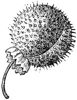 FLC040C.TIF