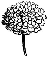 FLC039C.TIF
