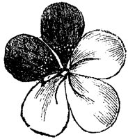 FLC038D.TIF