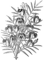 FLC037E.TIF