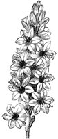 FLC036D.TIF
