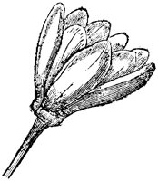 FLC035J.TIF