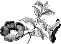 FLC035G.TIF