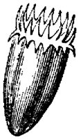FLC035E.TIF