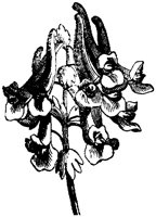 FLC035D.TIF