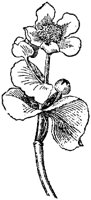 FLC034L.TIF