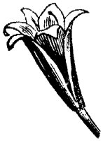 FLC034I.TIF