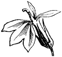 FLC034C.TIF