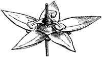 FLC033M.TIF