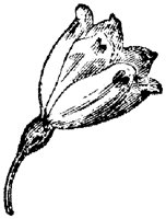 FLC032H.TIF