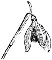 FLC032F.TIF