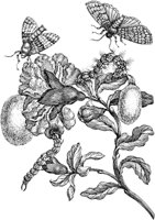 FBI149A.TIF